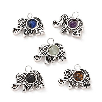Natural Mixed Stone Pendants, Elephant Charm, with Antique Silver Tone Alloy Findings, 14.5x18x4.5mm, Hole: 2mm