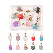 10Pcs 10 Style Mixed Gemstone Pendants, with Top Golden Plated Iron Loops, Teardrop, Faceted, 17~19x10x5mm, Hole: 1.8mm, 1pc/style(G-LS0002-07)