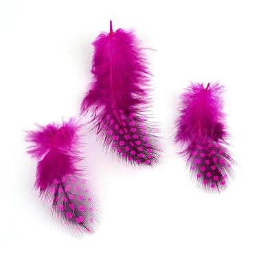 Accessoires de costume de plume de poulet(FIND-Q048-14)-2