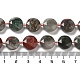 Natural African Bloodstone Beads Strands(G-NH0004-040)-5