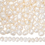 2 Strands Natural Cultured Freshwater Pearl Beads Strands, Two Sides Polished, Creamy White, 5.5~7x5~6x3.5~5mm, Hole: 0.6mm, about 63~65pcs/strand, 13.58 inch~14.17 inch(34.5~36cm)(PEAR-SC0001-30)