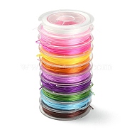 10 Rolls 10 Colors Flat Elastic Crystal String Set, Elastic Beading Thread, for Stretch Bracelet Making, Mixed Color, 0.5mm, about 10 yards(9.14m)/roll, 1 roll/color(EW-YW0001-10)