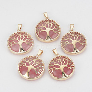 Watermelon Stone Glass Pendants, with Brass Findings, Flat Round with Tree of Life, Golden, 30.5x27x8mm, Hole: 7x3mm(G-S292-10K-G)