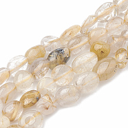 Natural Gold Rutilated Quartz Beads Strands, Oval, 5~15x4~10x2~6mm, Hole: 1mm, about 40~60pcs/strand, 15.7 inch(G-S331-6x8-013)