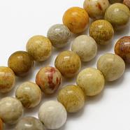 Natural Fossil Coral Beads Strands, Round, 8mm, Hole: 1mm, about 48pcs/strand, 15.3 inch(39cm)(G-K194-8mm-05)