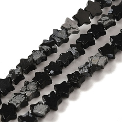 Natural Snowflake Obsidian Beads Strands, Star, 6x5.5x2mm, Hole: 0.8mm, about 75pcs/strand, 14.57 inch(37cm)(G-G085-B37-02)