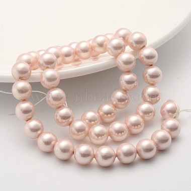 Shell Pearl Beads Strands(SP10MM505)-2