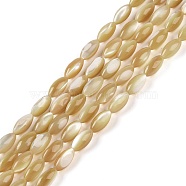 Natural Trochus Shell Beads Strands, Rice, Dark Goldenrod, 12x6mm, Hole: 0.5mm, about 33pcs/strand, 15.16 inch(38.5cm)(BSHE-G036-06A)