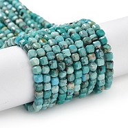 Natural HuBei Turquoise Beads Strands, Cube, Faceted, 3x3x3mm, Hole: 0.7mm, about 132~133pcs/strand, 15.55''(39.5cm)(G-P514-B07-02)