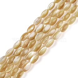 Natural Trochus Shell Beads Strands, Rice, Dark Goldenrod, 12x6mm, Hole: 0.5mm, about 33pcs/strand, 15.16 inch(38.5cm)(BSHE-G036-06A)