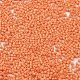 Baking Paint Glass Seed Beads(X-SEED-S042-05B-83)-3