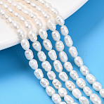 Natural Cultured Freshwater Pearl Beads Strands, Rice, Creamy White, 5~8x3.5~4mm, Hole: 0.5mm, about 29~31pcs/strand, 6.77~7.09''(17.2~18cm)(PEAR-N012-03R-01)