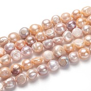 Natural Cultured Freshwater Pearl Beads Strands, Potato, Light Salmon, 12~18x11~17mm, Hole: 0.8mm, about 28pcs/strand, 1.36~1.38 inch(34.5~35cm)(PEAR-L033-41A-01)