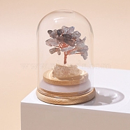 Natural Moonstone Chips Tree of Life Decorations, Mini Wooden & Glass Base with Copper Wire Feng Shui Energy Stone Gift for Home Office Desktop Decoration, 52x77mm(TREE-PW0003-24D)