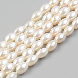 Electroplate Natural Freshwater Shell Beads Strands, Rice, Seashell Color, 5.5x3.5mm, Hole: 0.8mm, about 72~75pcs/strand, 15.16 inch~15.55 inch(38.5cm~39.5cm)(SHEL-T017-13A-01)