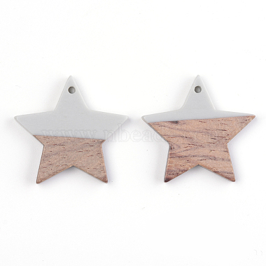 Resin & Wood Pendants(X-RESI-T023-23A)-2