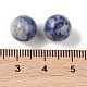 Natural Blue Spot Jasper No Hole Sphere Beads(G-K353-04A-14)-3