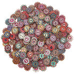2-Hole Printed Wood Buttons, Daisy, Mixed Color, 19x2mm, Hole: 1.8mm, 200pcs/set(BUTT-SP0001-07)