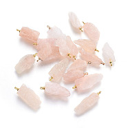 Natural Pink Morganite Pendants, with Brass Findings, Nuggets, Golden, 19~29x6~12x4~7mm, Hole: 1.6mm(G-F589-06A)