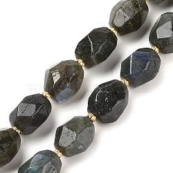 Natural Labradorite Beads Strands, Faceted, Oval, with Seed Beads, 12~16x10~14mm, Hole: 1mm, about 22~25pcs/strand, 15.16''~15.63''(38.5~39.7cm)(G-P541-A01-08)