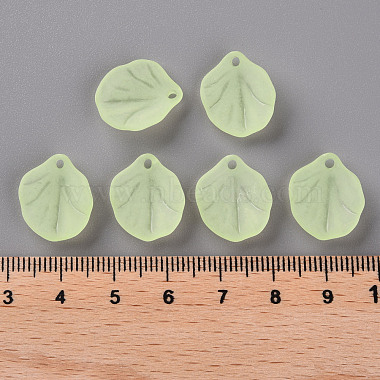 Transparent Frosted Acrylic Pendants(MACR-S371-02A-728)-4