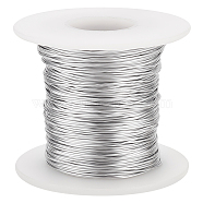 Custom Round Aluminum Wire, Platinum, 20 Gauge, 0.8mm, about 262.47 Feet(80m)/Roll(AW-WH0002-15D-P)