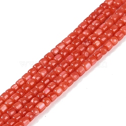 Natural Freshwater Shell Beads Strands, Dyed, Column, Crimson, 3~3.5x3~3.7mm, Hole: 0.5mm, about 111~119pcs/strand, 15.28''(38.8cm)(BSHE-H109-04)