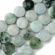 Natural Myanmar Jadeite Beads Strands, Faceted, Flat Round, 15.5x6~6.5mm, Hole: 1mm, about 26pcs/strand, 15.63''(39.7cm)(G-A092-A01-02)