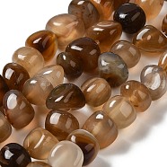 Natural Agate Beads Strands, Dyed & Heated, Nuggets, Tumbled Stone, Camel, 6.5~13x10~13x1.5~11mm, Hole: 1.6mm, about 22pcs/strand, 7.20~7.72''(18.3~19.6cm)(G-H295-B01-13)