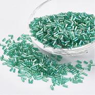 Glass Bugle Beads, Transparent Colours Rainbow, Medium Aquamarine, 12x2mm, Hole: 0.5mm, about 5000pcs/bag(SEED-E001-12mm-178)