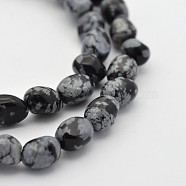 Natural Snowflake Obsidian Bead Strands, Tumbled Stone, Nuggets, 5~7X5~7mm, Hole: 1mm, about 15.7 inch(G-P070-27)