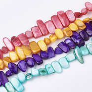 Freshwater Shell Beads Strands, Dyed, Nuggets, Mixed Color, 6~25x4~14x3~7mm, Hole: 1mm, about 96~100pcs/strand, 31.4 inch(SHEL-S274-40)