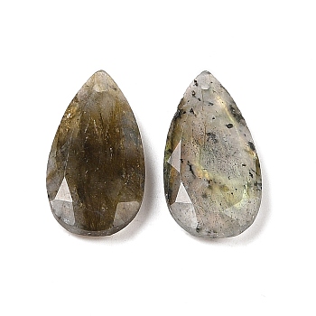 Natural Labradorite Pendants, Faceted Teardrop Charms, 24.5x13x4mm, Hole: 1mm