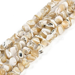 Natural Trochus Shell Beads Strands, Nuggets, Wheat, 6.5~8.5x6.3~7.5x2.5~5mm, Hole: 0.7mm, about 64~66pcs/strand, 15.94~16.34''(40.5~41.5cm)(BSHE-H109-10)