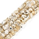 Natural Trochus Shell Beads Strands(BSHE-H109-10)-1