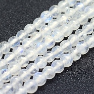 Natural Rainbow Moonstone Beads Strands, Grade AB+, Round, 4mm, Hole: 1mm, about 94pcs/strand, 15.5 inch(39.5cm)(G-P342-02B-4mm-AB+)