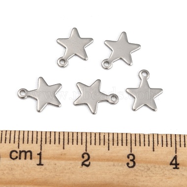 304 Stainless Steel Charms(STAS-G190-27P-B)-4
