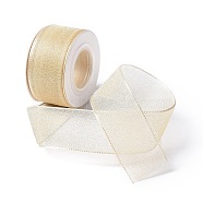 10 Yards Polyester Chiffon Ribbon, for DIY Jewelry Making, BurlyWood, 1- inch(25.5mm)(OCOR-C004-03D)