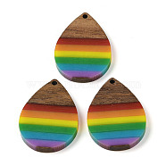 Pride Rainbow Theme Resin & Walnut Wood Pendants, Teardrop, Colorful, 36x25x3.5mm, Hole: 2mm(WOOD-K012-09B)