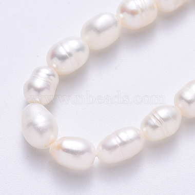 Natural Cultured Freshwater Pearl Beads Strands(X-PEAR-S012-41C)-4