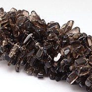 Natural Smoky Quartz Beads Strands, Chip, 11~19x4~8x4~6mm, Hole: 1mm, 15.75 inch(X-G-K115-06)