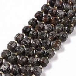 Natural Fluorescent Syenite Rock(Glow under UV Light) Beads Strands, with Seed Beads, Faceted Bicone Barrel Drum, 9.5x8.5mm, Hole: 1.2mm, about 31pcs/strand, 14.17 inch(36cm)(G-G990-F01)