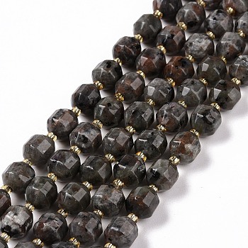 Natural Fluorescent Syenite Rock(Glow under UV Light) Beads Strands, with Seed Beads, Faceted Bicone Barrel Drum, 9.5x8.5mm, Hole: 1.2mm, about 31pcs/strand, 14.17 inch(36cm)