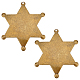 2Pcs Blank Star Iron Brooch Findings(IFIN-BC0001-23)-1