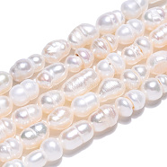 Natural Cultured Freshwater Pearl Beads Strands, Baroque Keshi Pearl Rice Beads, Seashell Color, 5~10.5x4~6.5mm, Hole: 0.6mm, about 28~29pcs/strand, 7.09~7.36 inch(18~18.7cm)(PEAR-N012-04R)