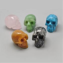 Mixed Stone Display Decorations, Skull, 37~39x30~33x46~50mm(G-R418-93)