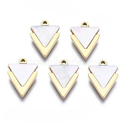 316 Surgical Stainless Steel Charms, with Shell, Real 14K Gold Plated, Triangle, Seashell Color, 11.5x8x1mm, Hole: 1mm(STAS-N097-043)
