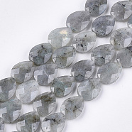 Natural Labradorite Beads Strands, Faceted, teardrop, 18x13~13.5x5.5~6mm, Hole: 1.2mm, about 11pcs/strand, 7.8 inch(X-G-S354-07)