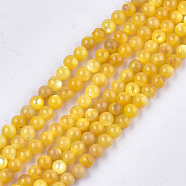 Yellow Shell Beads Strands, Dyed, Round, Orange, 4mm, Hole: 0.8mm, about 101pcs/strand, 15.7 inch(SHEL-T012-50C)