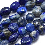 Natural Lapis Lazuli Beads Strands, Tumbled Stone, Nuggets, 10~11x7~8x5~6mm, Hole: 0.8mm, about 37pcs/Strand, 15.75 inch(40cm)(X-G-O186-B-17)